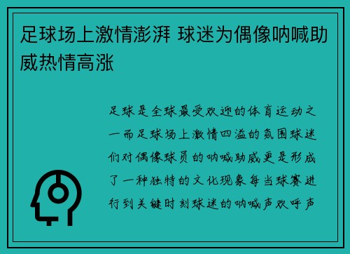 足球场上激情澎湃 球迷为偶像呐喊助威热情高涨
