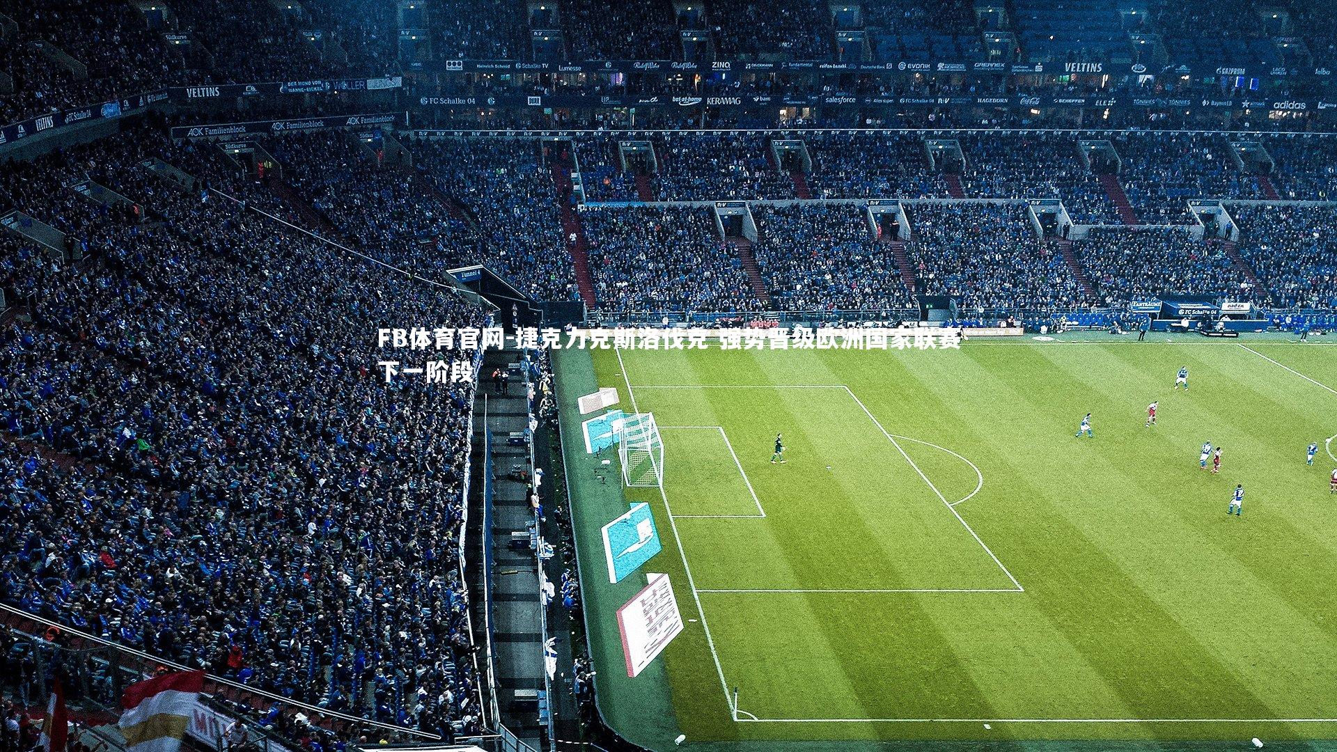 FB体育官网-捷克力克斯洛伐克 强势晋级欧洲国家联赛下一阶段